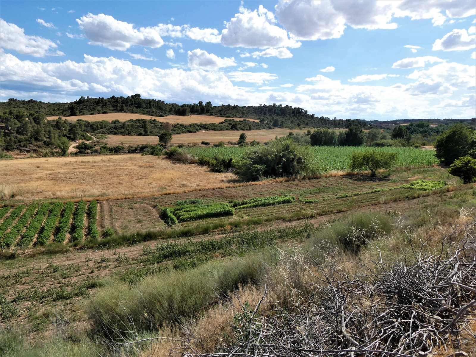 Maalaistalo myytävänä paikassa Caspe - 69 000 € (Ref: 7662822)