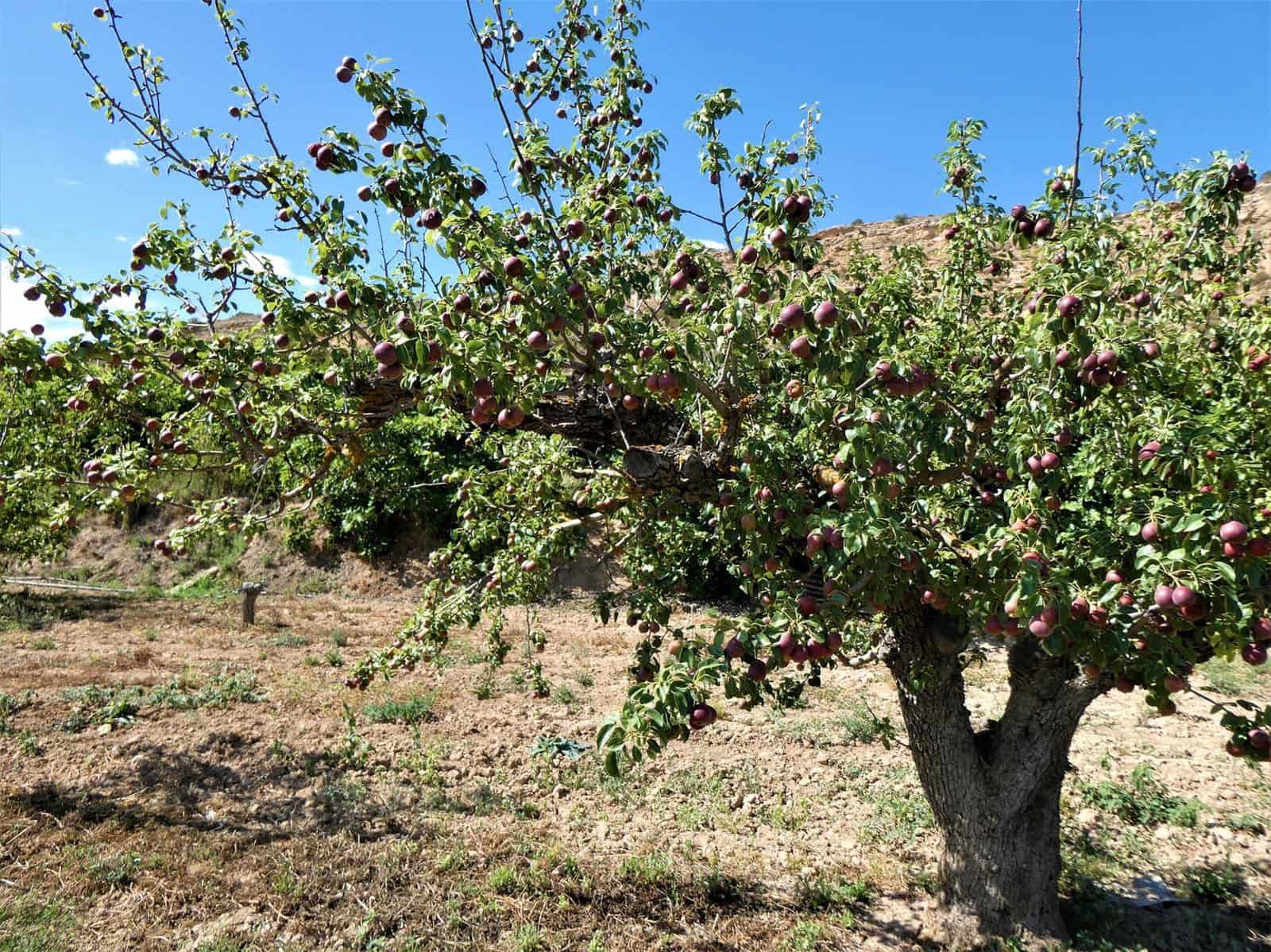 Maalaistalo myytävänä paikassa Caspe - 69 000 € (Ref: 7662822)