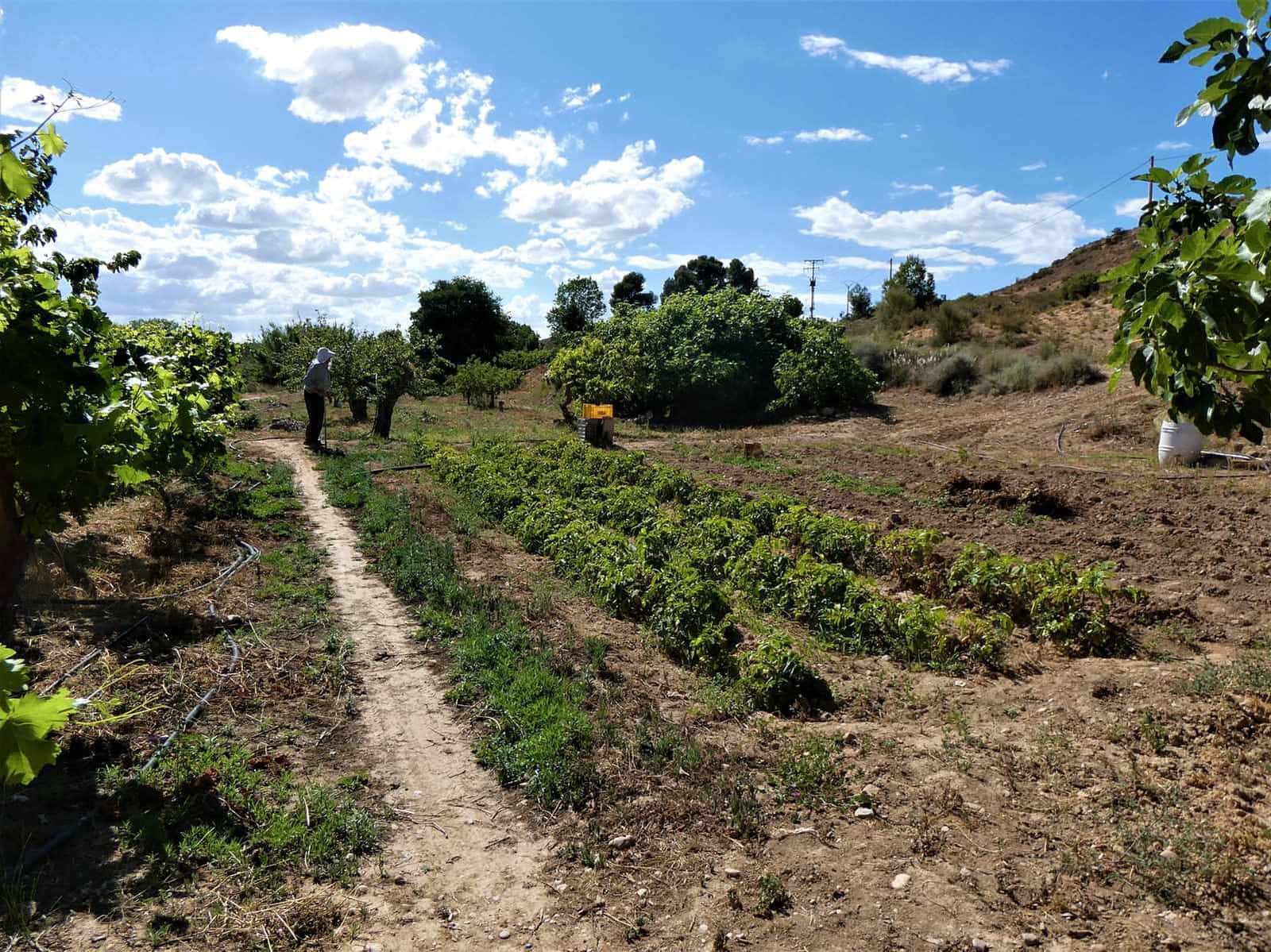 Finca/Landehus til salg i Caspe - € 69.000 (Ref: 7662822)