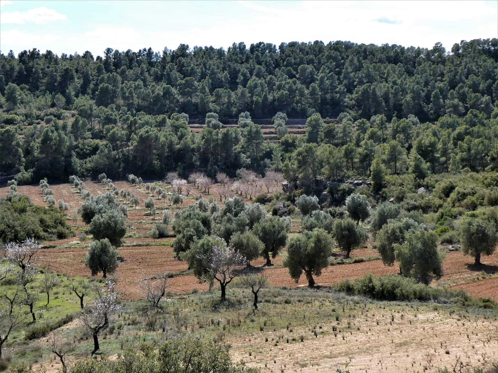 Finca/Herregård til salgs i Maella - € 29 000 (Ref: 7743404)