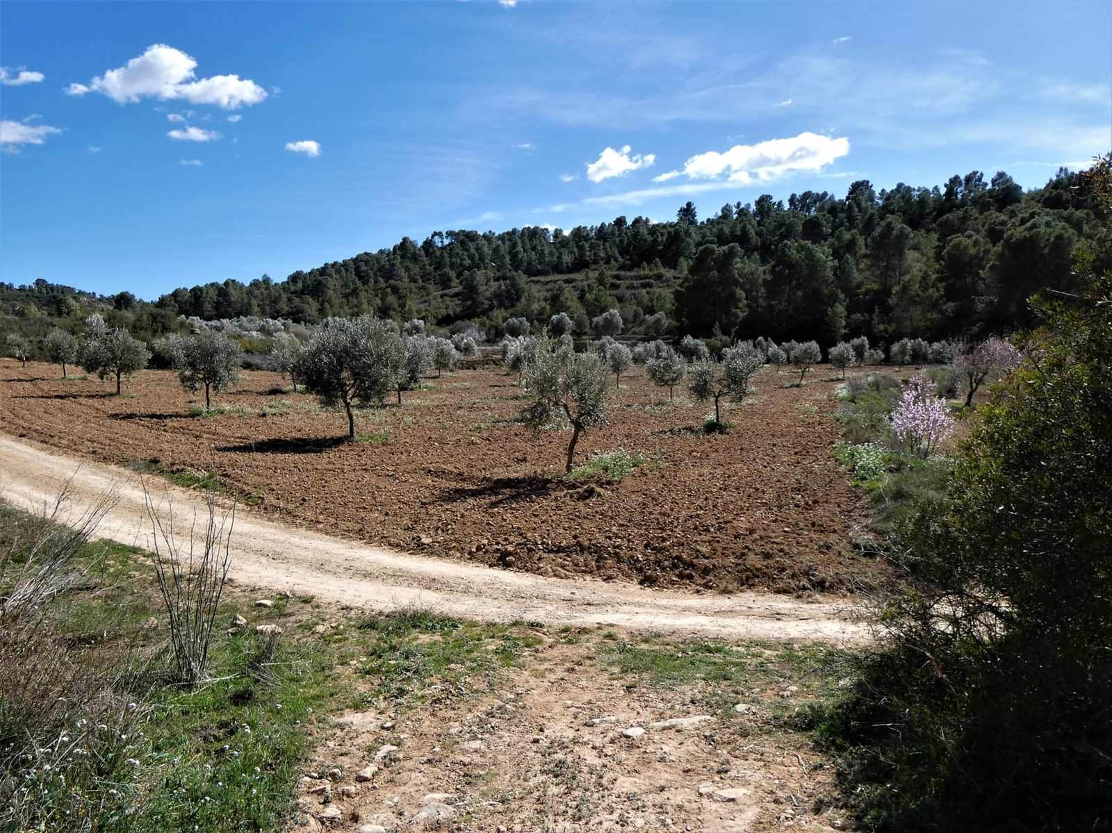 Finca/Herregård til salgs i Maella - € 29 000 (Ref: 7743404)