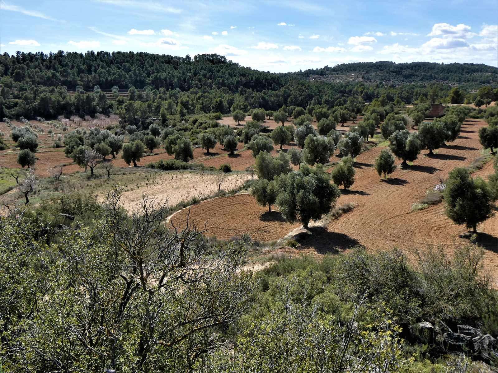 Finca/Herregård til salgs i Maella - € 29 000 (Ref: 7743404)