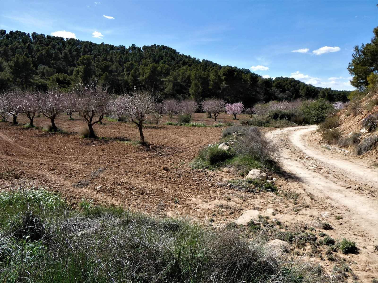 Finca/Herregård til salgs i Maella - € 29 000 (Ref: 7743404)