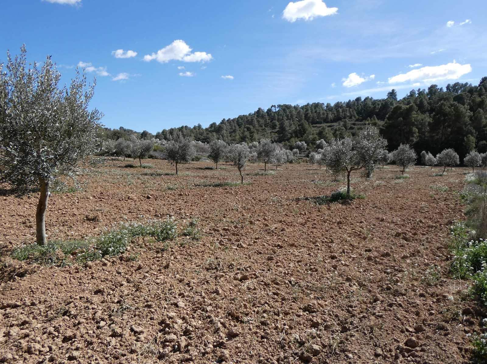 Finca/Herregård til salgs i Maella - € 29 000 (Ref: 7743404)