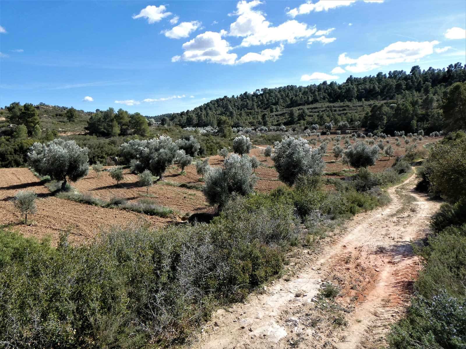 Finca/Herregård til salgs i Maella - € 29 000 (Ref: 7743404)