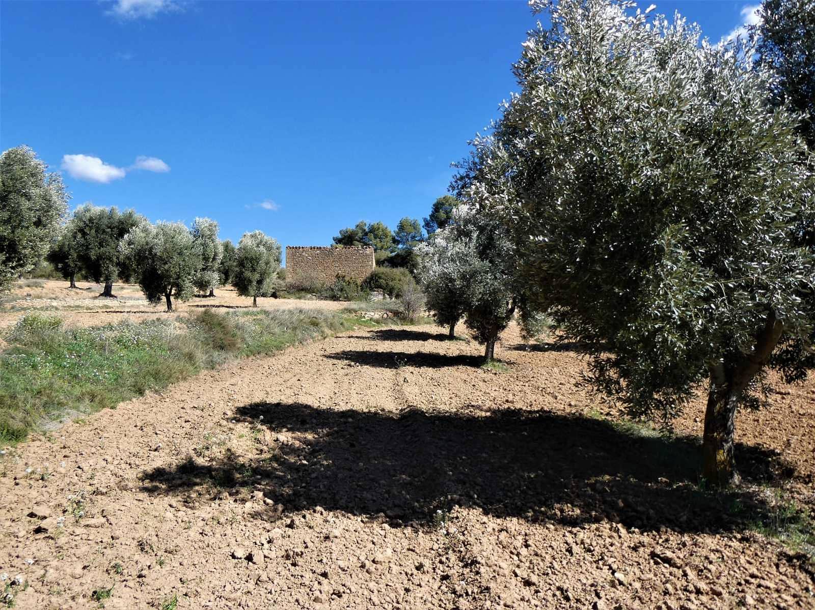 Finca/Herregård til salgs i Maella - € 29 000 (Ref: 7743404)