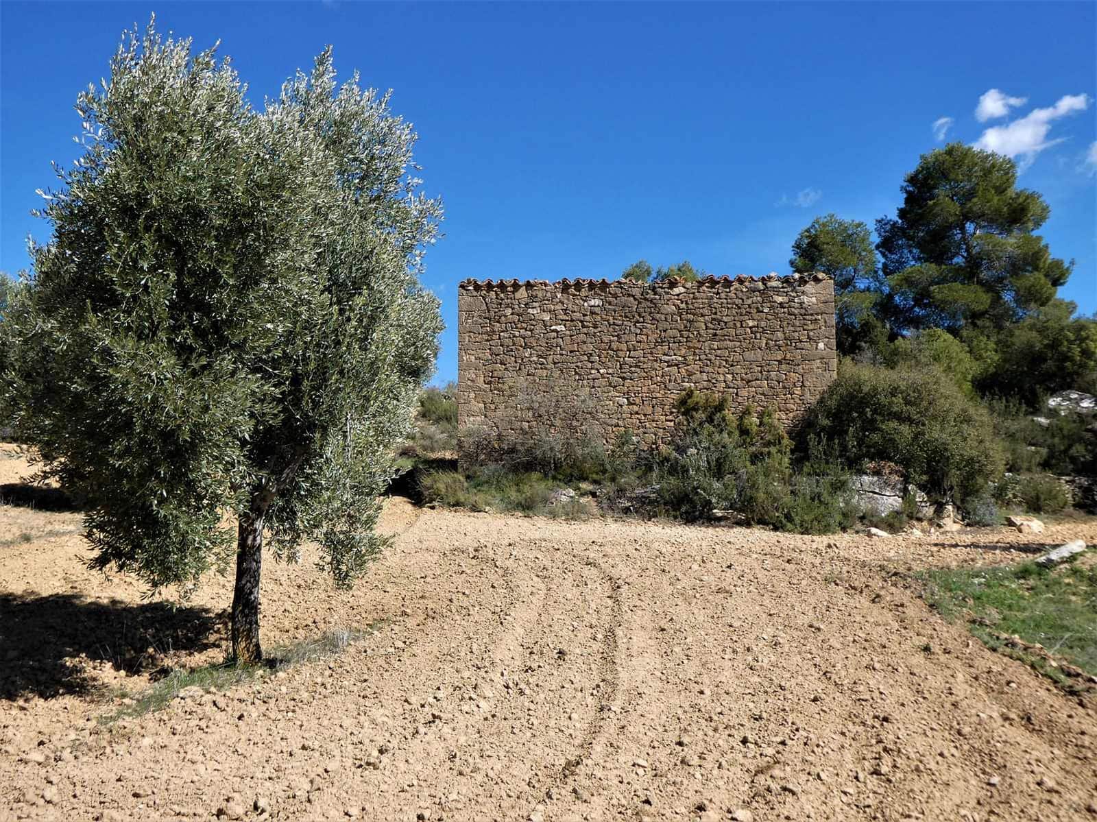 Finca/Herregård til salgs i Maella - € 29 000 (Ref: 7743404)