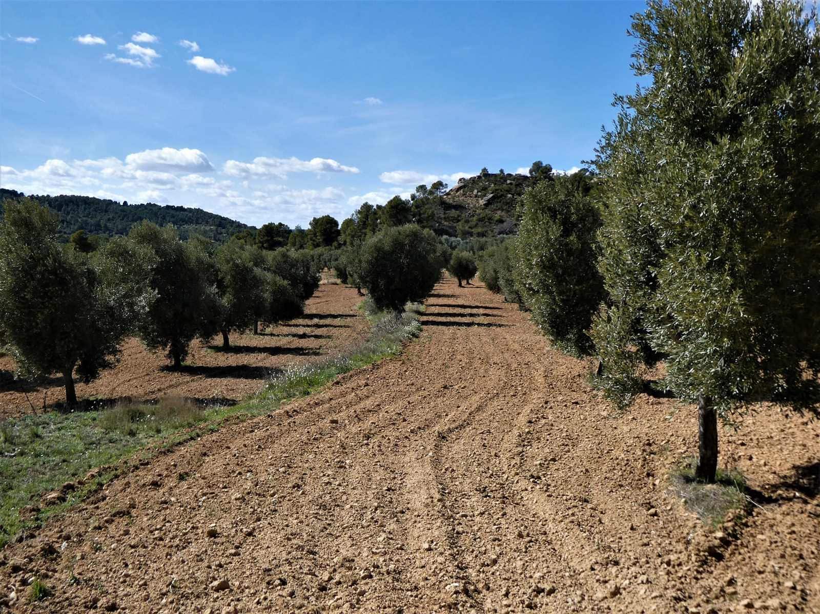 Finca/Herregård til salgs i Maella - € 29 000 (Ref: 7743404)