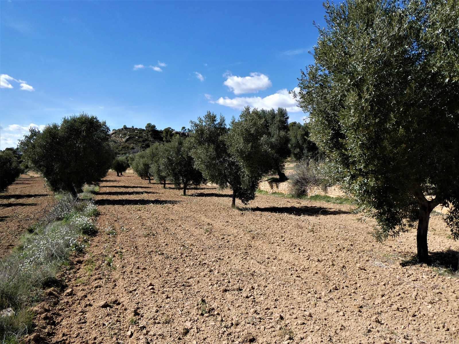 Finca/Herregård til salgs i Maella - € 29 000 (Ref: 7743404)