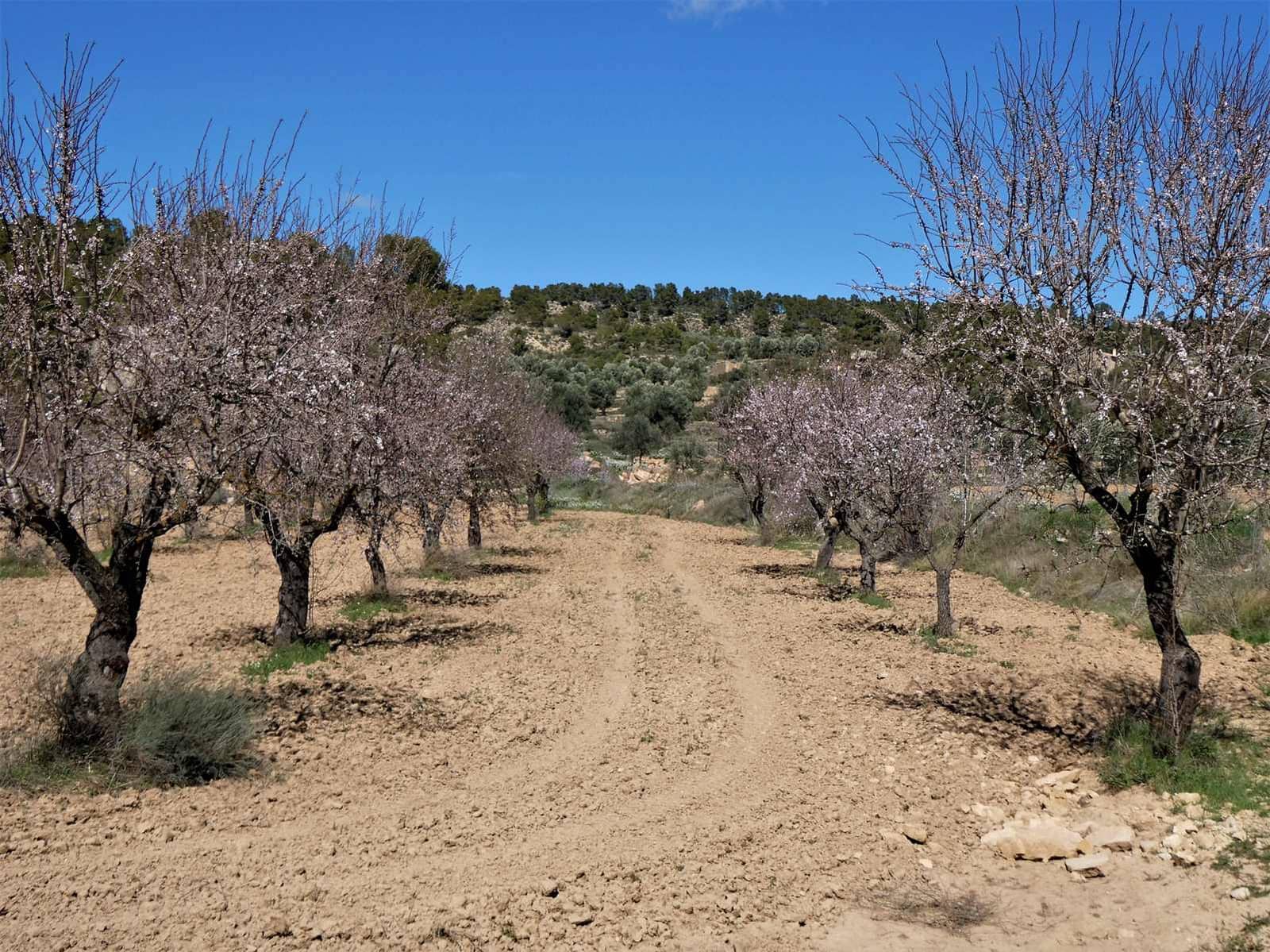 Finca/Herregård til salgs i Maella - € 29 000 (Ref: 7743404)