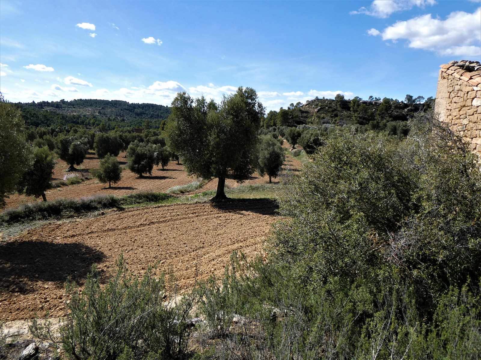 Finca/Herregård til salgs i Maella - € 29 000 (Ref: 7743404)