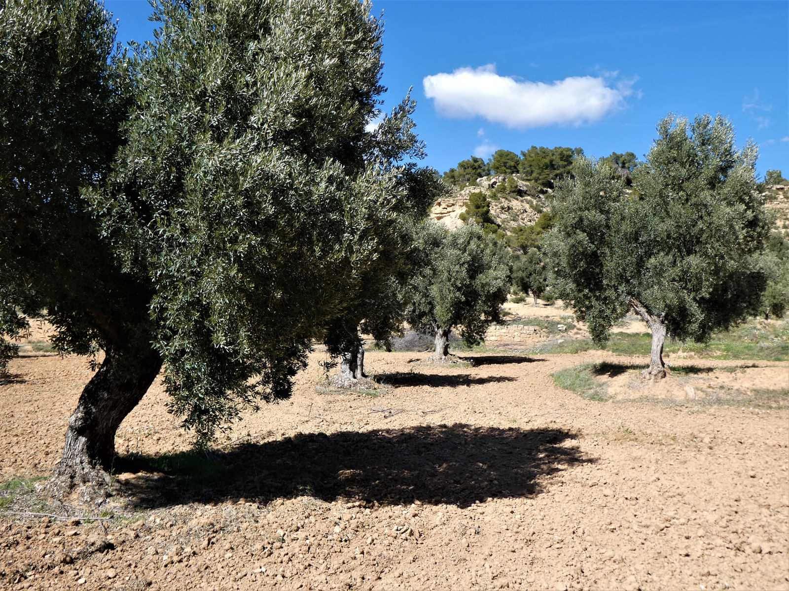 Finca/Herregård til salgs i Maella - € 29 000 (Ref: 7743404)