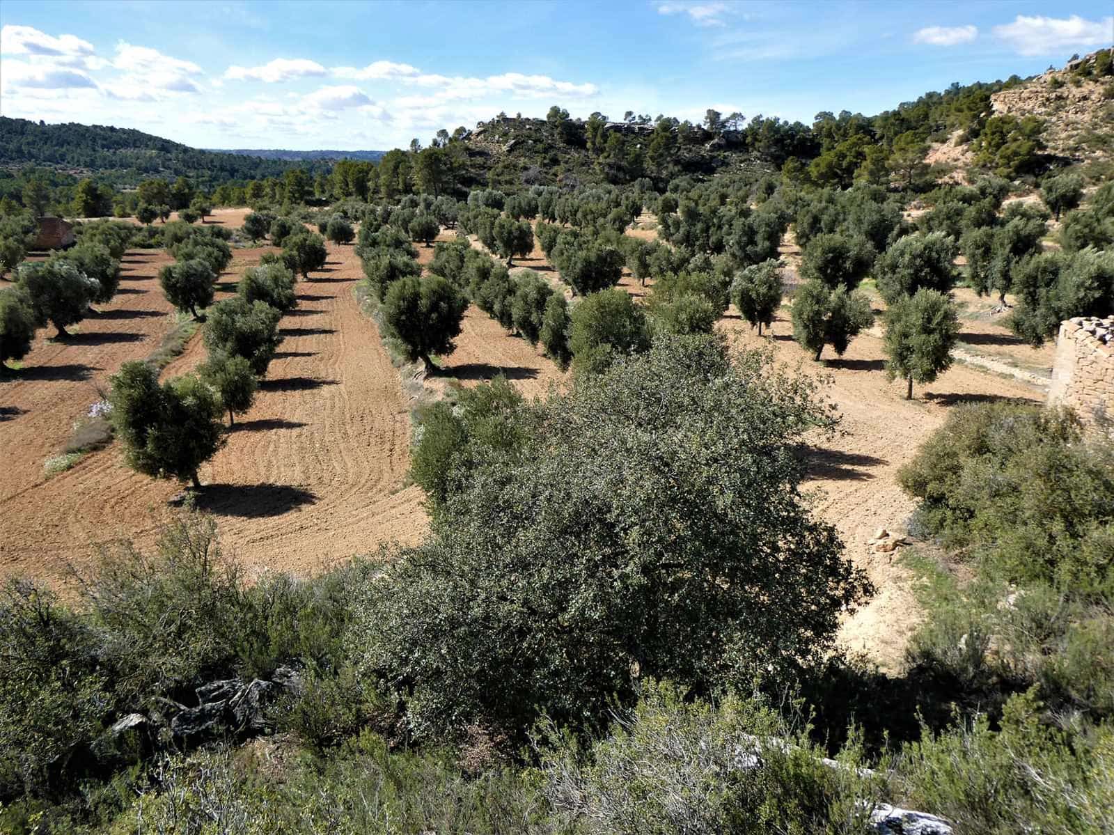 Finca/Herregård til salgs i Maella - € 29 000 (Ref: 7743404)