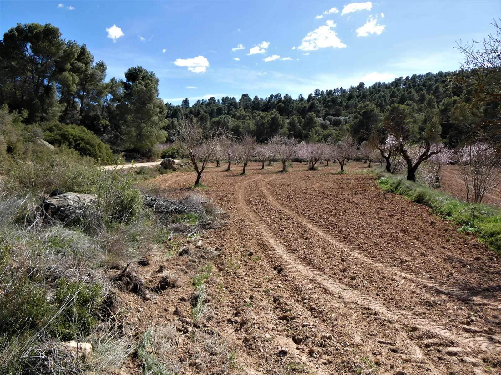 Finca/Herregård til salgs i Maella - € 29 000 (Ref: 7743404)