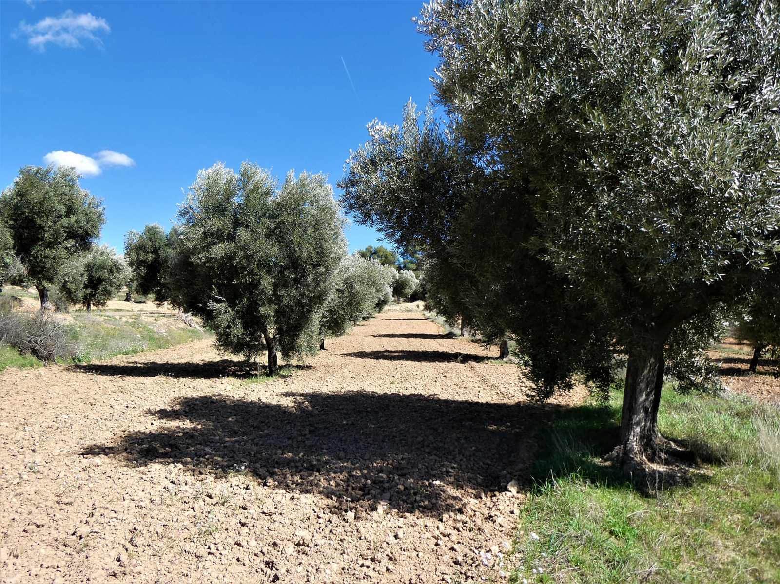 Finca/Herregård til salgs i Maella - € 29 000 (Ref: 7743404)