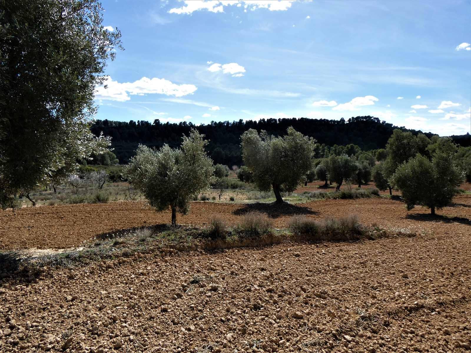 Finca/Herregård til salgs i Maella - € 29 000 (Ref: 7743404)