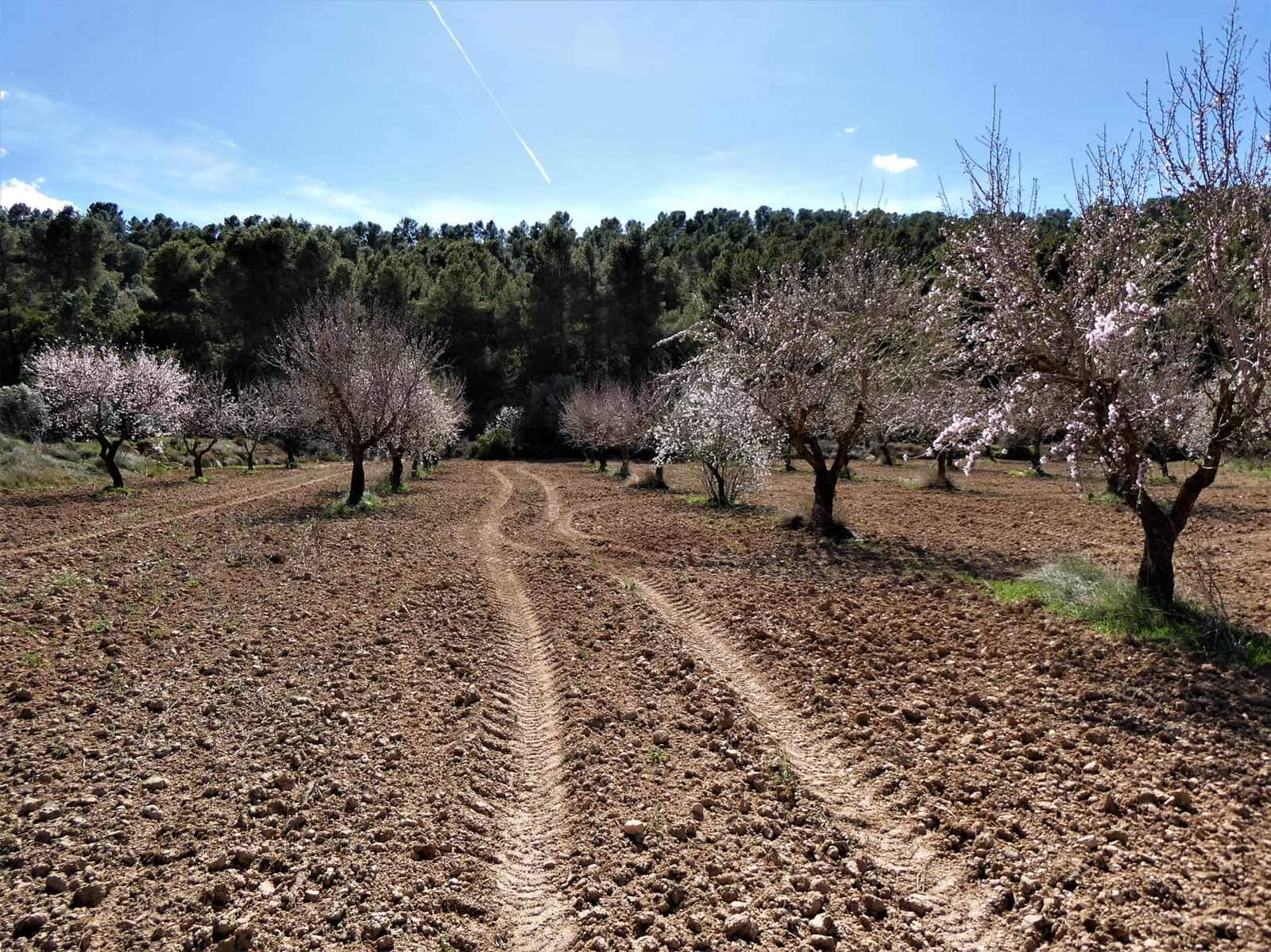 Finca/Herregård til salgs i Maella - € 29 000 (Ref: 7743404)