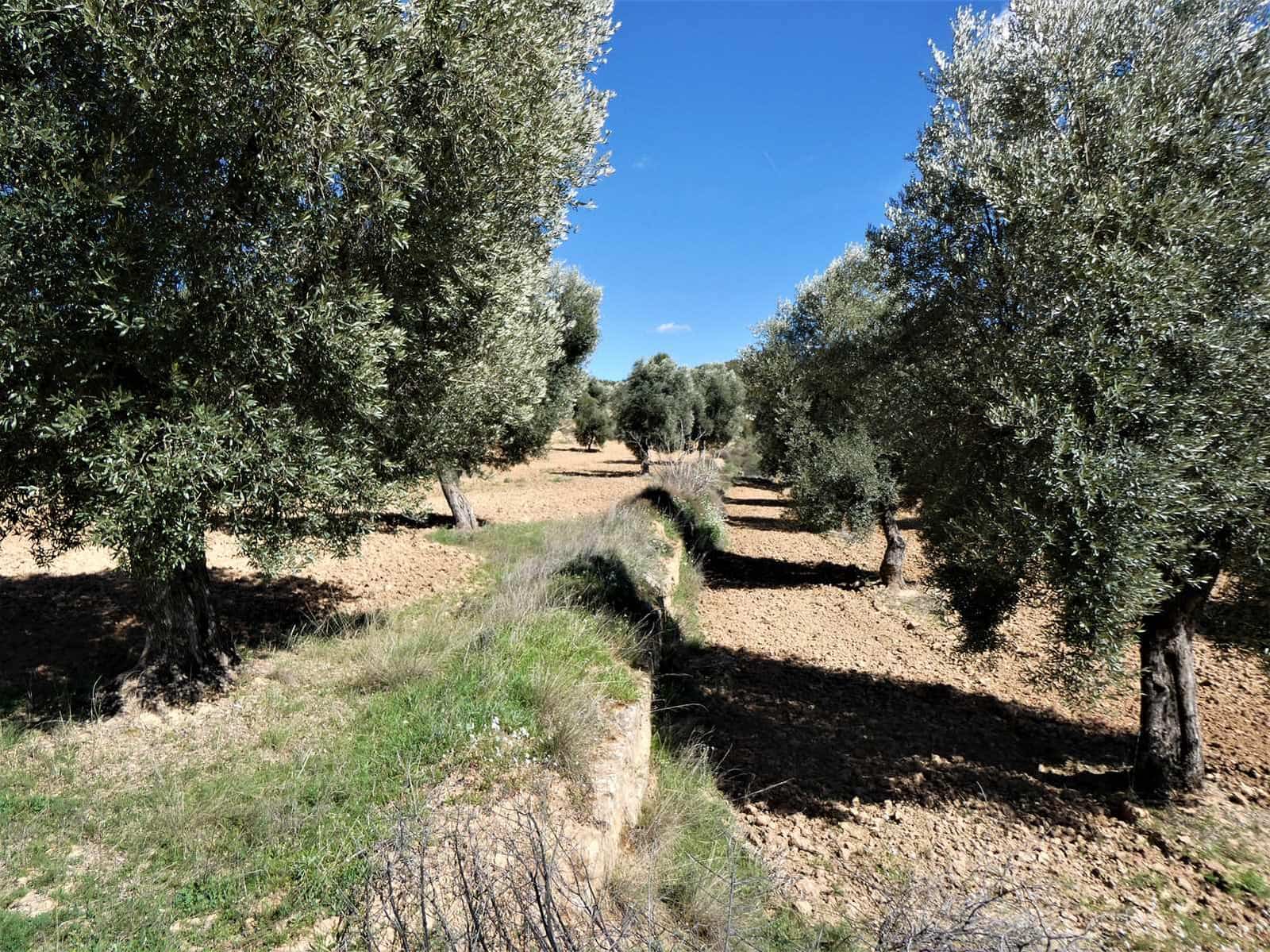 Finca/Herregård til salgs i Maella - € 29 000 (Ref: 7743404)