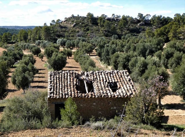Finca/Landhuis te koop in Maella - € 29.000 (Ref: 7743404)