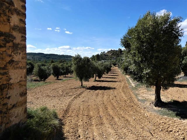 Finca/Landhuis te koop in Maella - € 29.000 (Ref: 7743404)