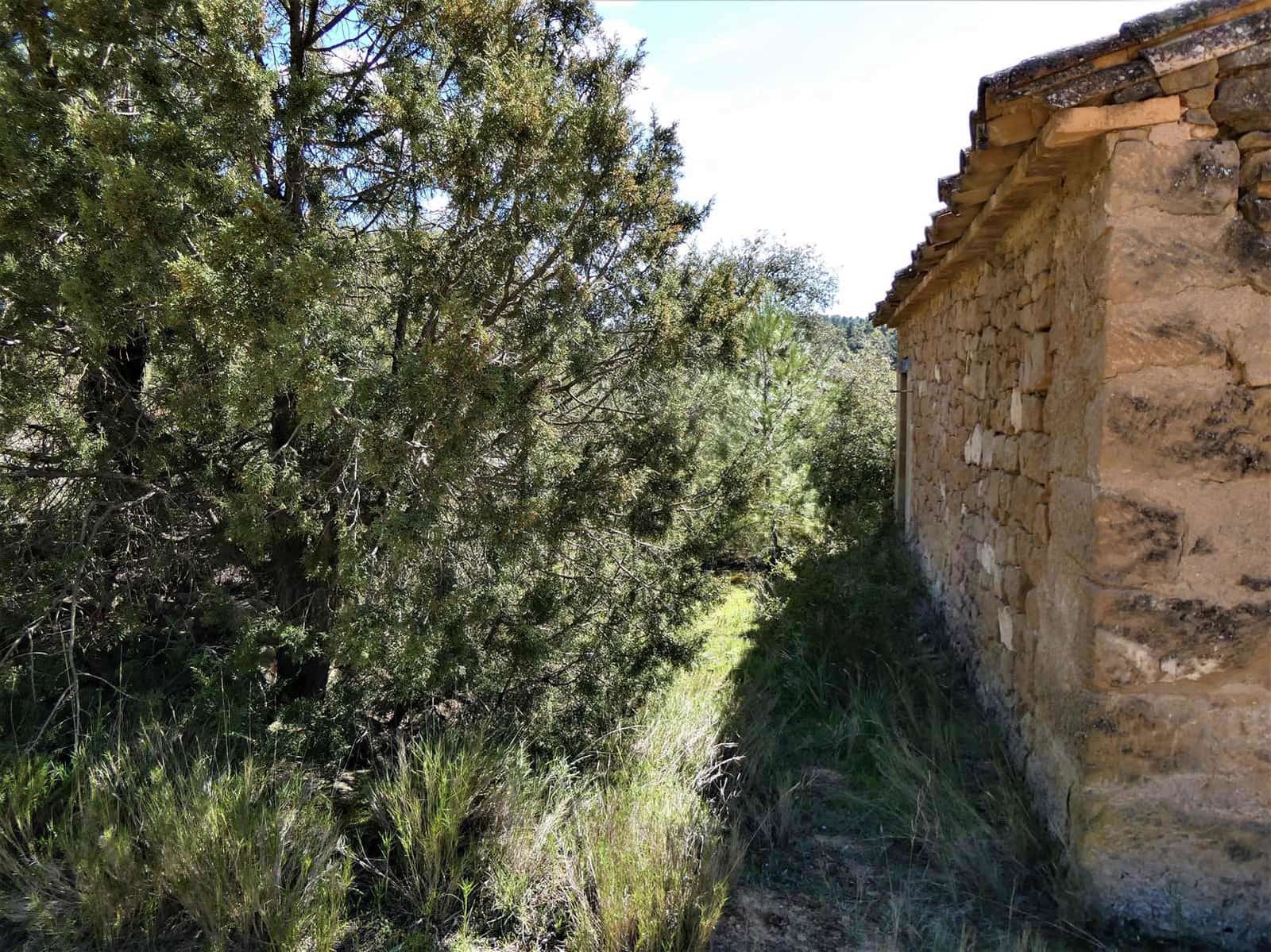 Finka/Dom wiejski na sprzedaż w Maella - 29 000 € (Ref: 7743404)