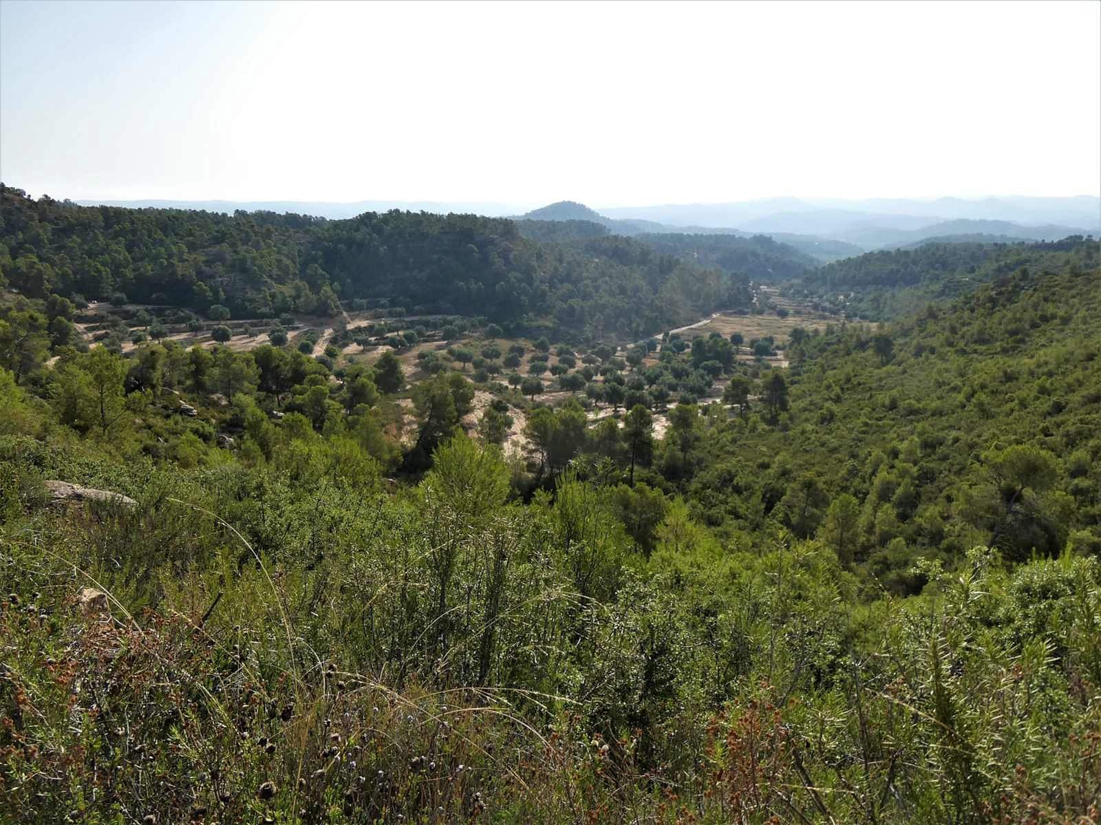 Finca/Herregård til salgs i Maella - € 34 000 (Ref: 7760867)