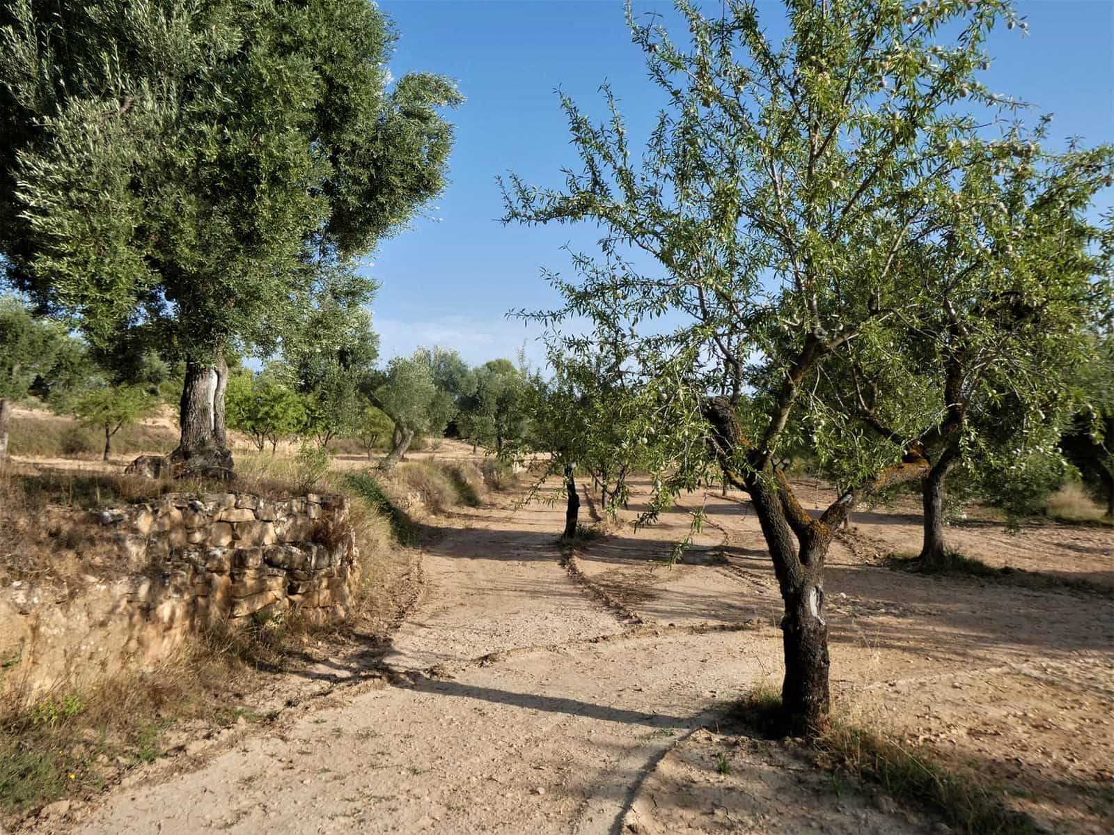 Finca/Herregård til salgs i Maella - € 34 000 (Ref: 7760867)