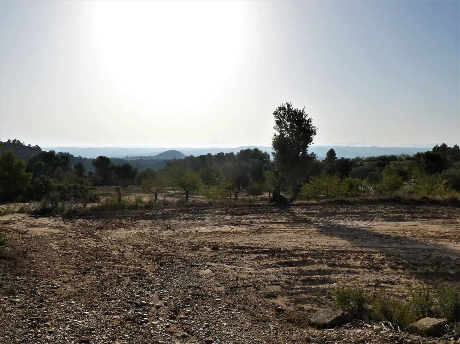Finca/Country House for sale in Maella - € 34,000 (Ref: 7760867)
