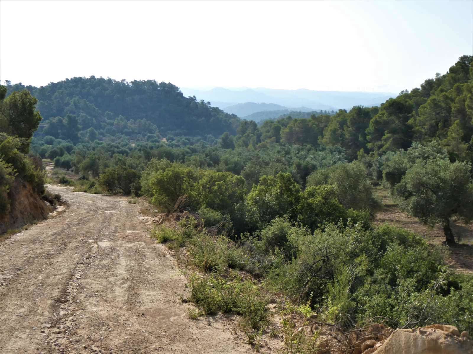 Finca/Country House for sale in Maella - € 34,000 (Ref: 7760867)