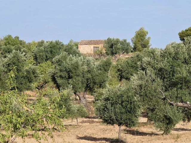 Quinta/Casa Rural para venda em Maella - 34 000 € (Ref: 7760867)