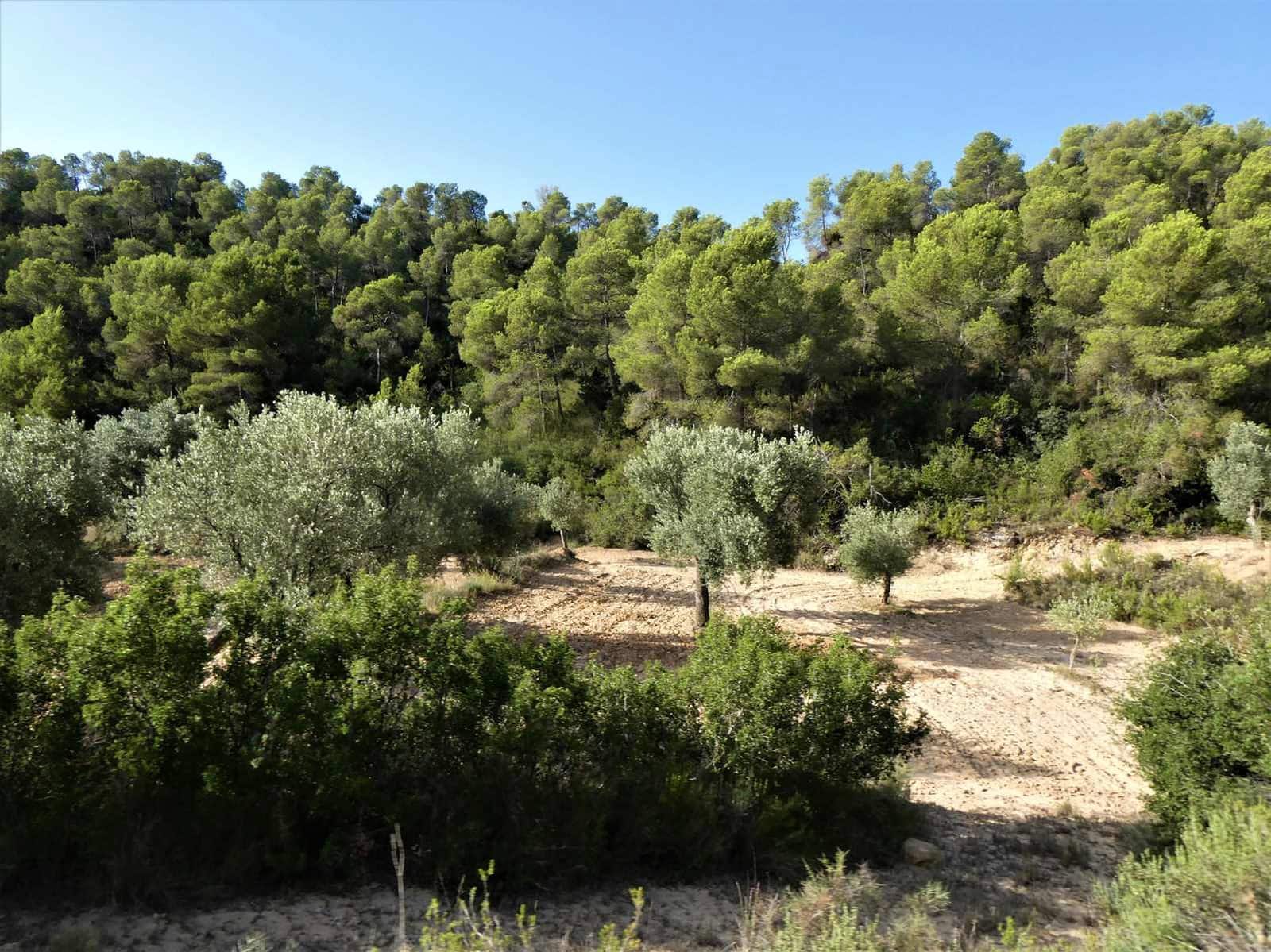 Finca/Country House for sale in Maella - € 34,000 (Ref: 7760867)