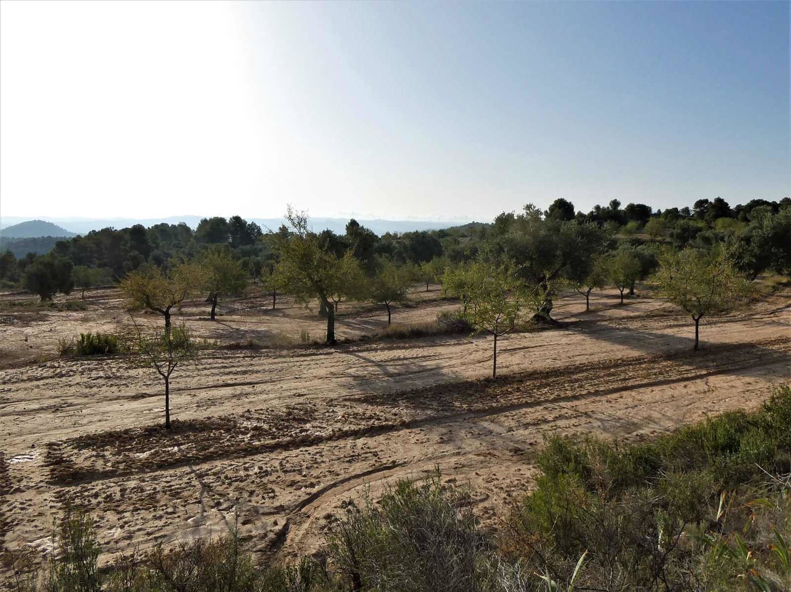 Finca/Country House for sale in Maella - € 34,000 (Ref: 7760867)