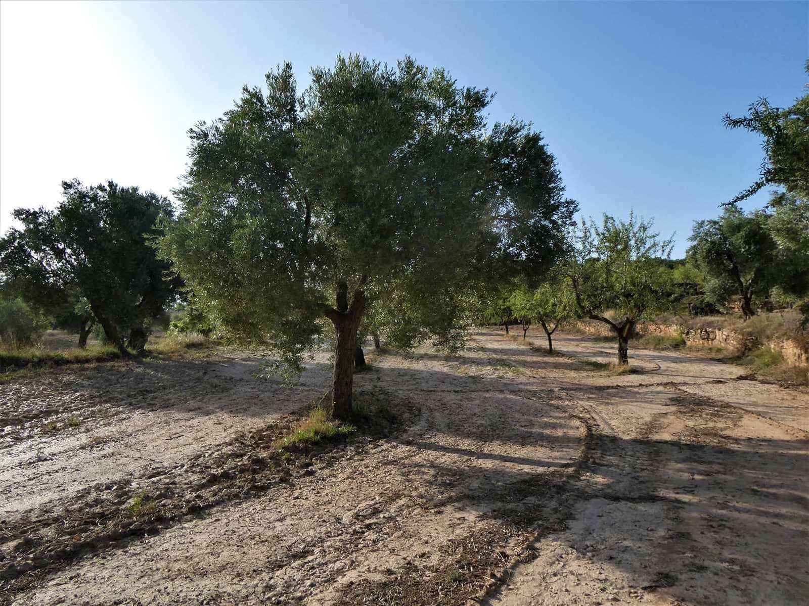 Finca/Country House for sale in Maella - € 34,000 (Ref: 7760867)