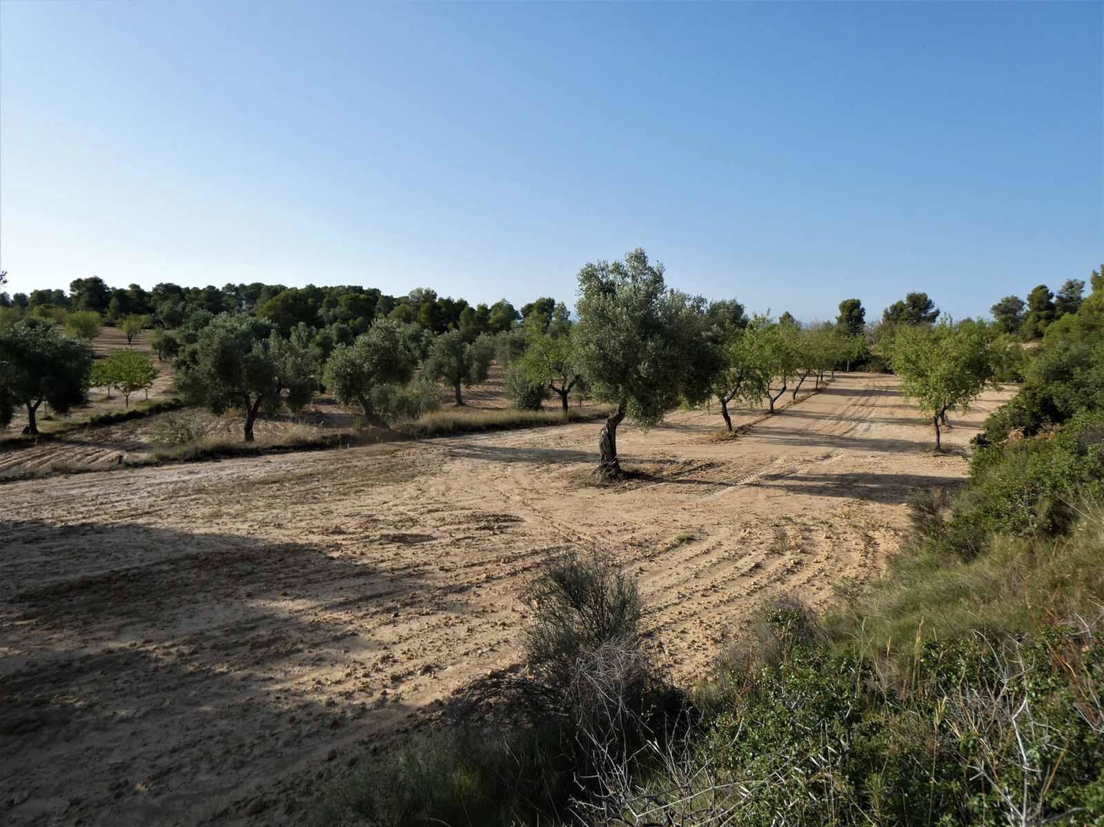 Finca/Country House for sale in Maella - € 34,000 (Ref: 7760867)