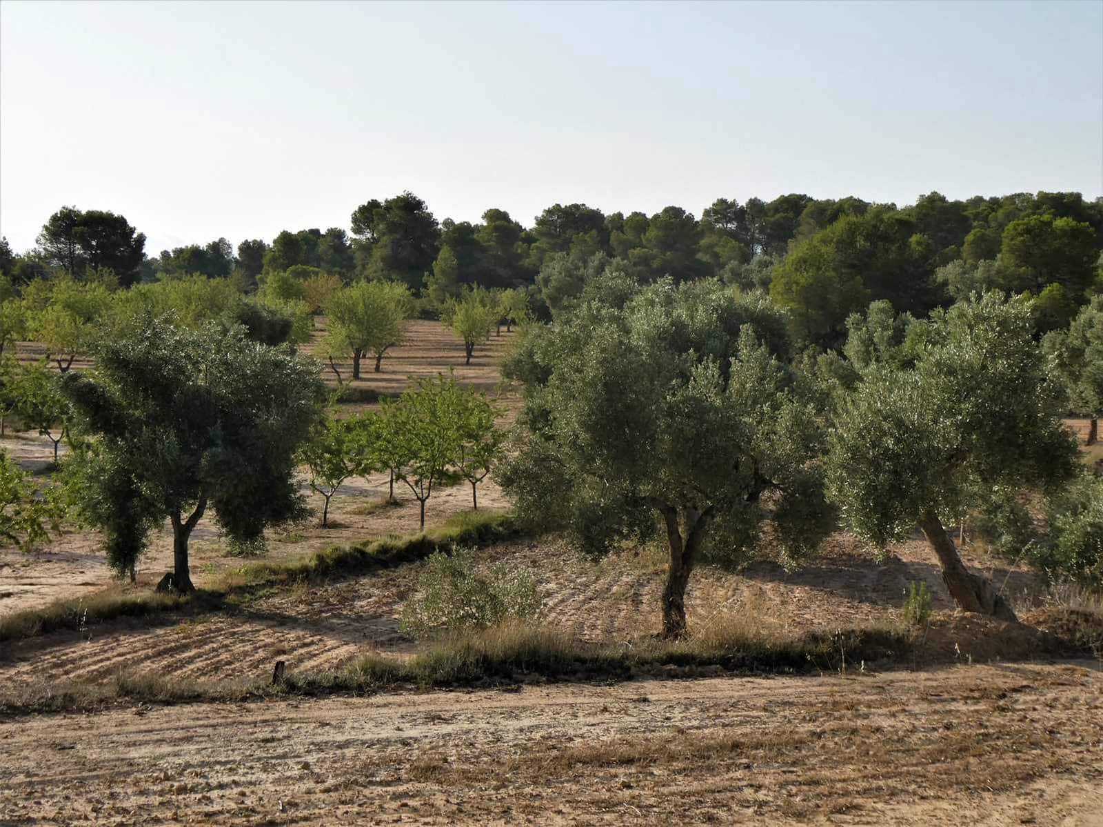 Finca/Country House for sale in Maella - € 34,000 (Ref: 7760867)