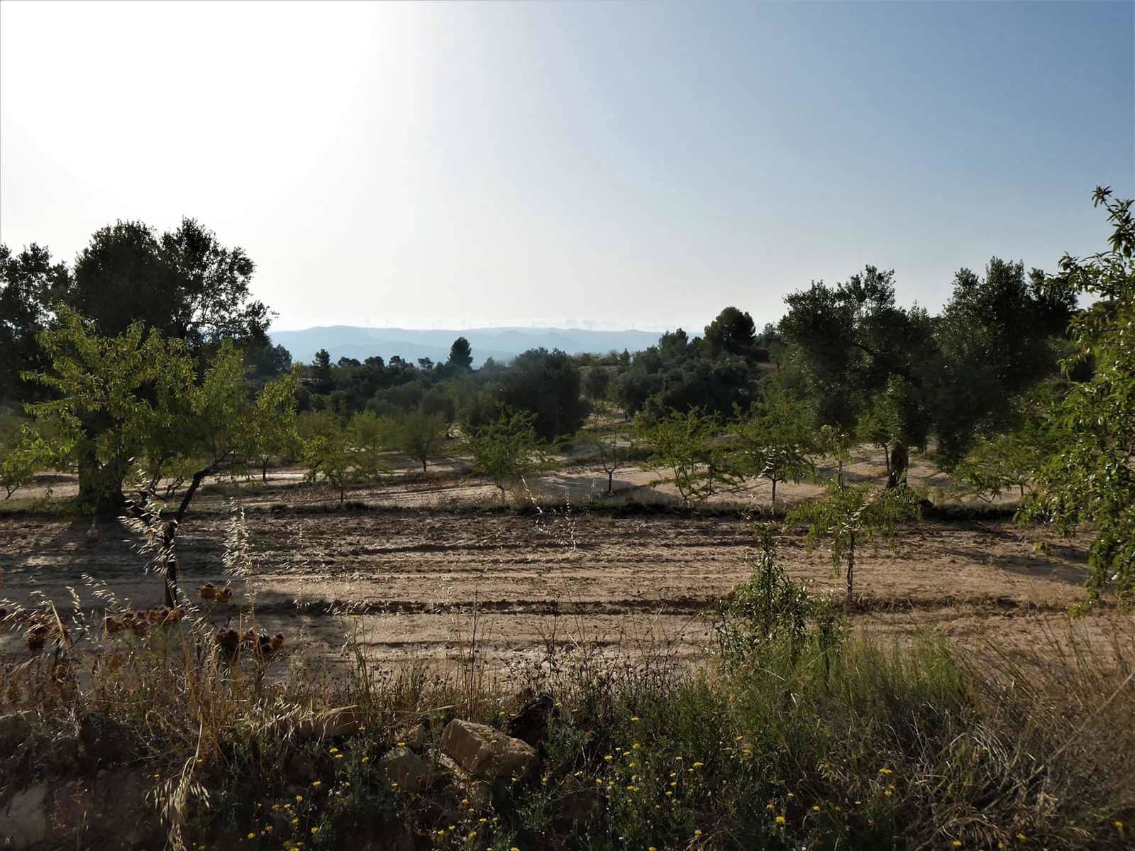 Finca/Country House for sale in Maella - € 34,000 (Ref: 7760867)