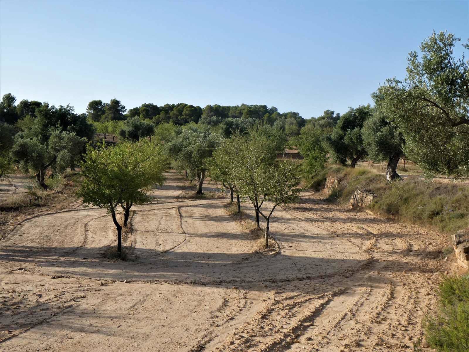 Finca/Country House for sale in Maella - € 34,000 (Ref: 7760867)