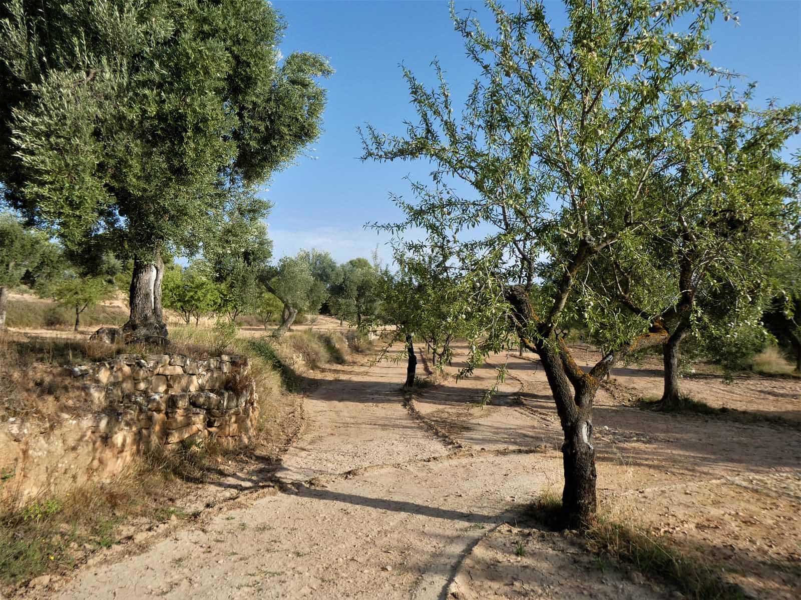 Finca/Country House for sale in Maella - € 34,000 (Ref: 7760867)