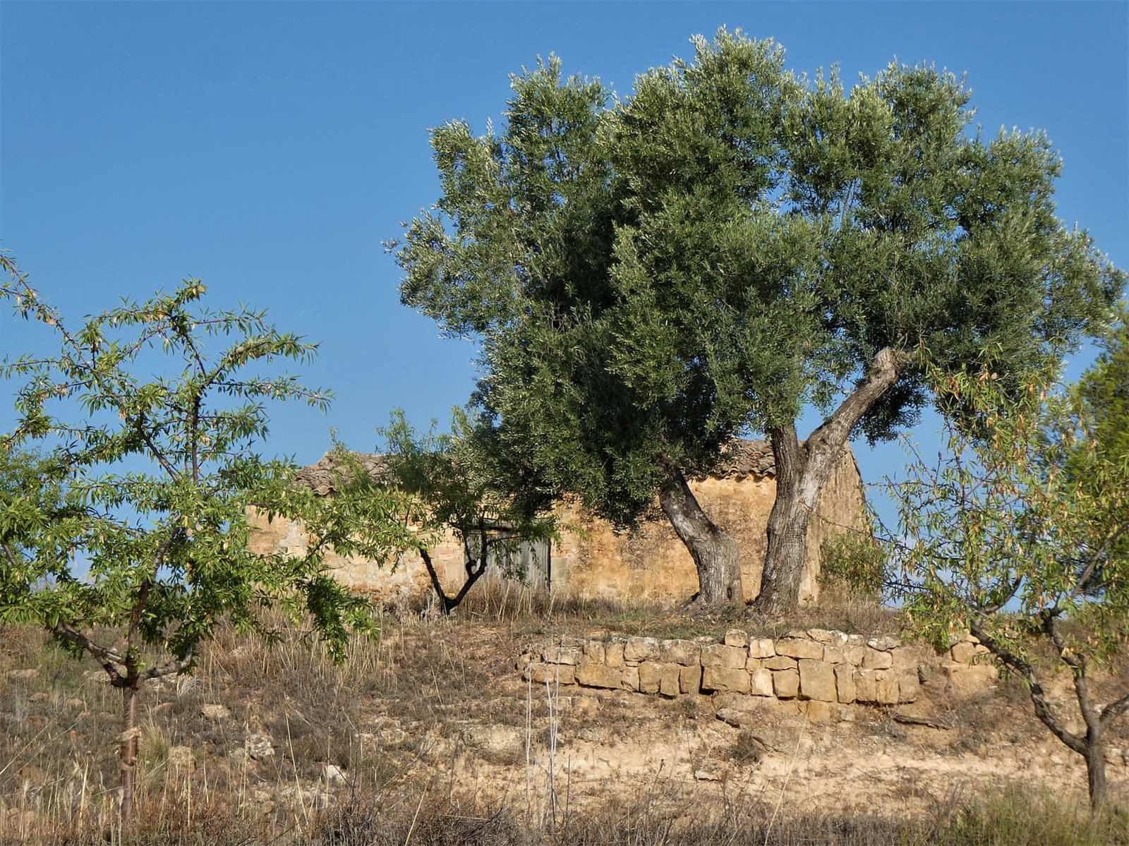 Finca/Country House for sale in Maella - € 34,000 (Ref: 7760867)