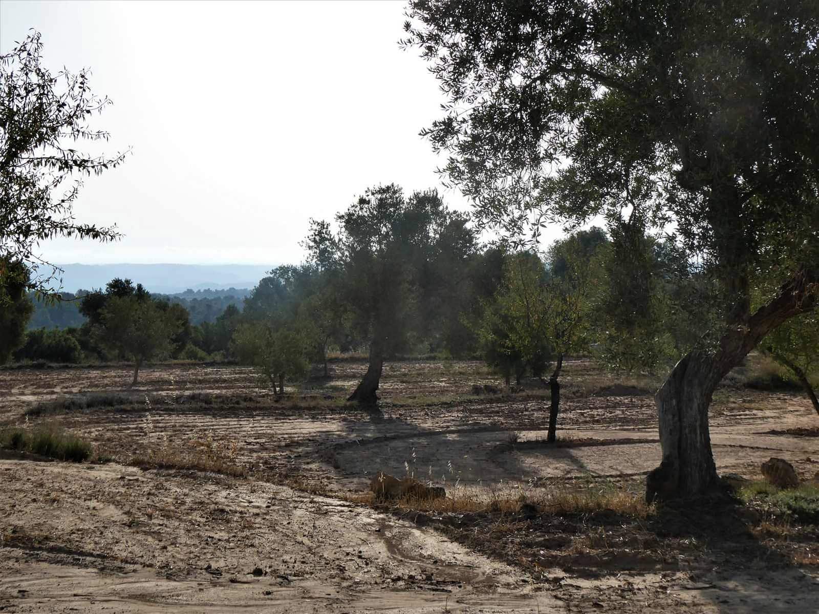 Finca/Country House for sale in Maella - € 34,000 (Ref: 7760867)