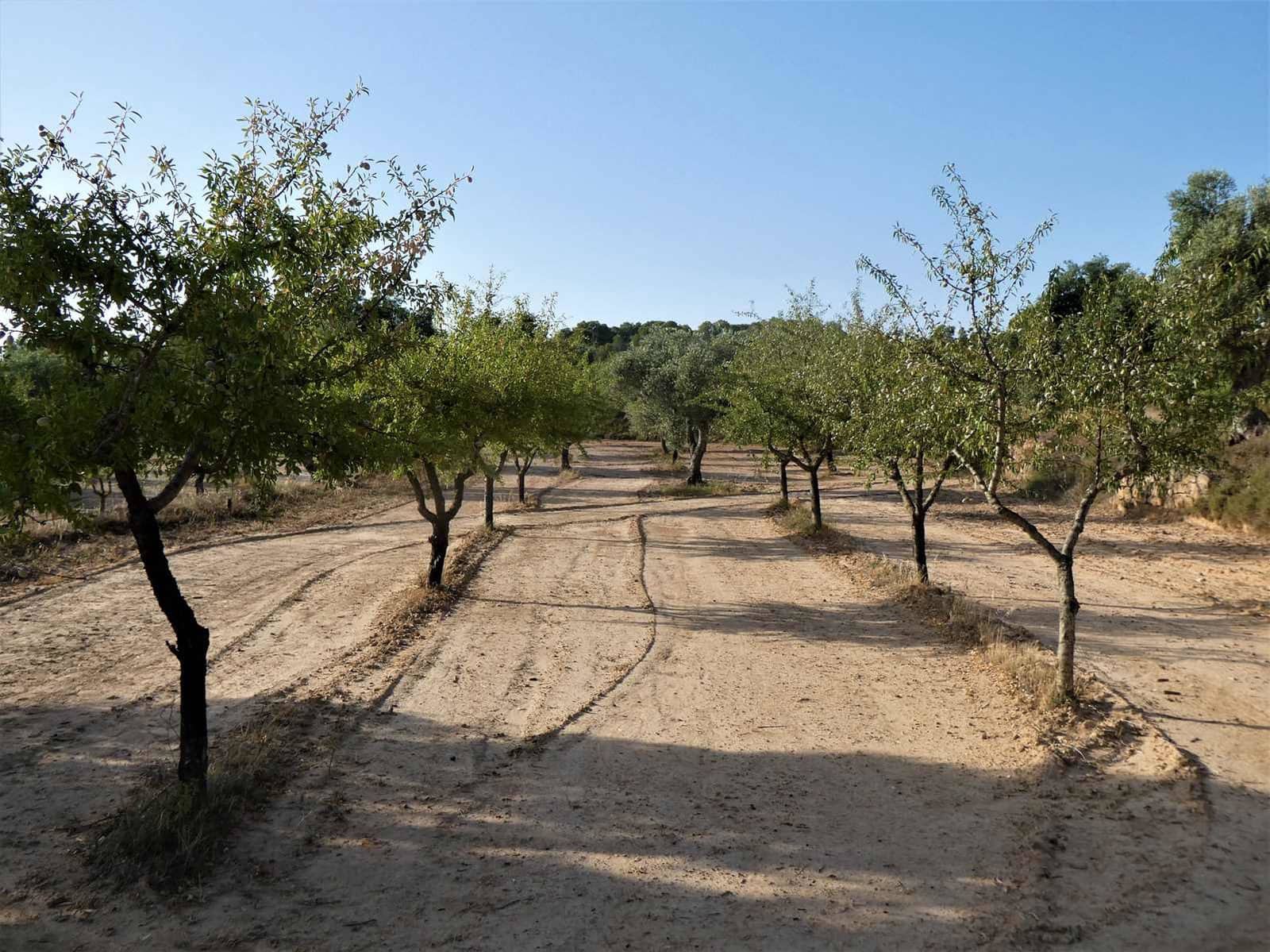 Finca/Country House for sale in Maella - € 34,000 (Ref: 7760867)