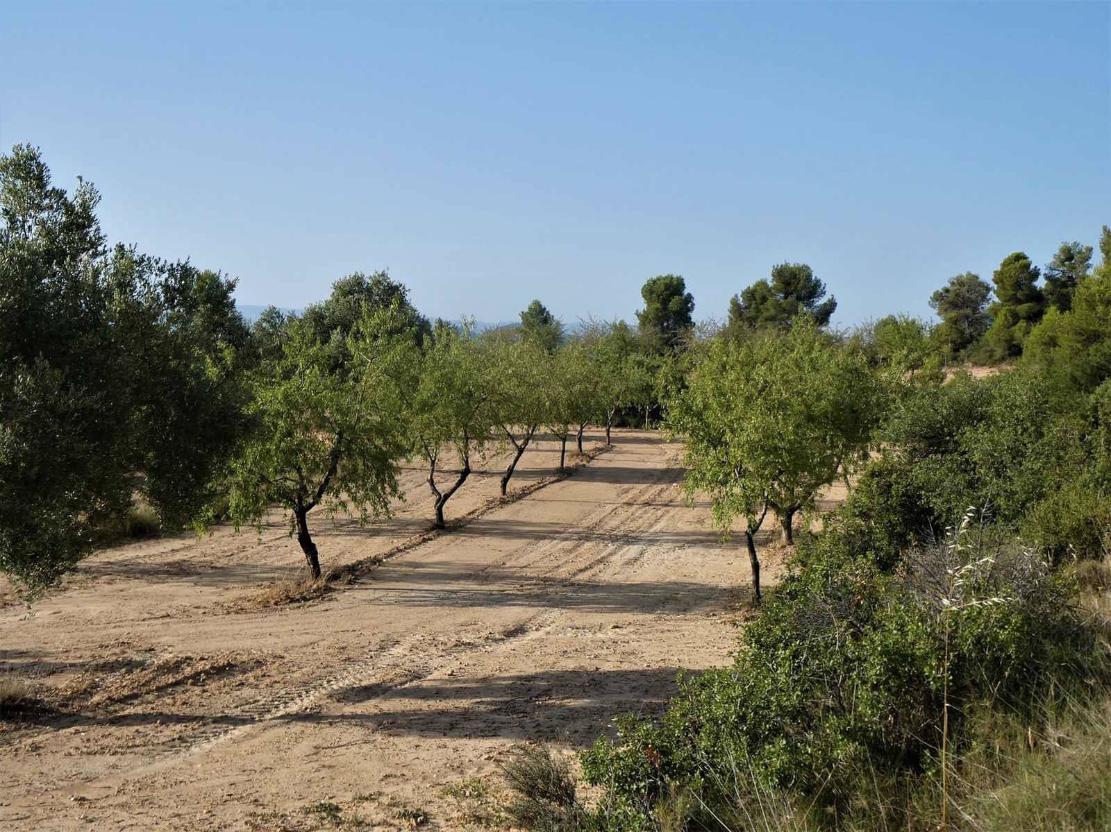 Finca/Country House for sale in Maella - € 34,000 (Ref: 7760867)