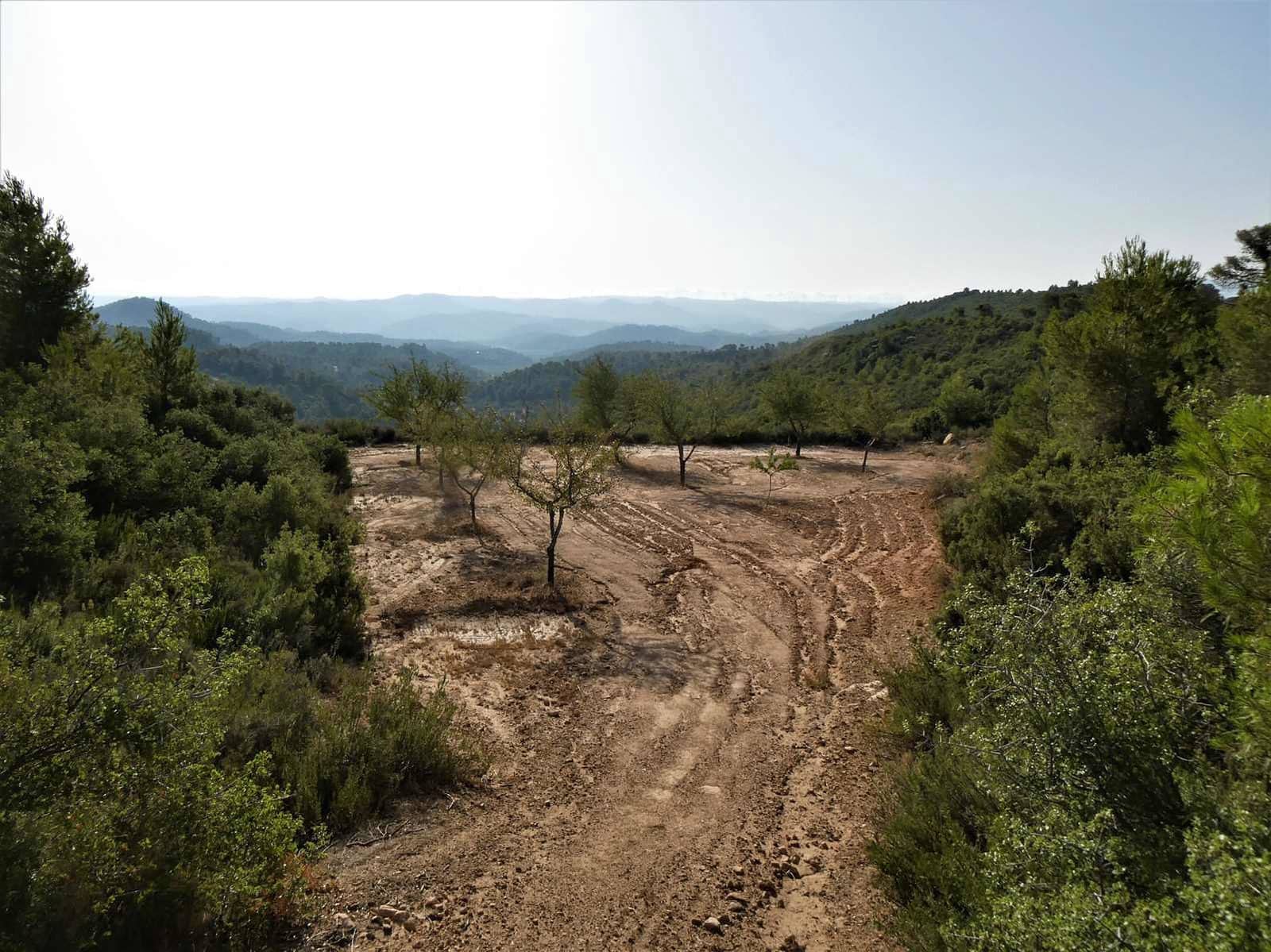 Finca/Country House for sale in Maella - € 34,000 (Ref: 7760867)