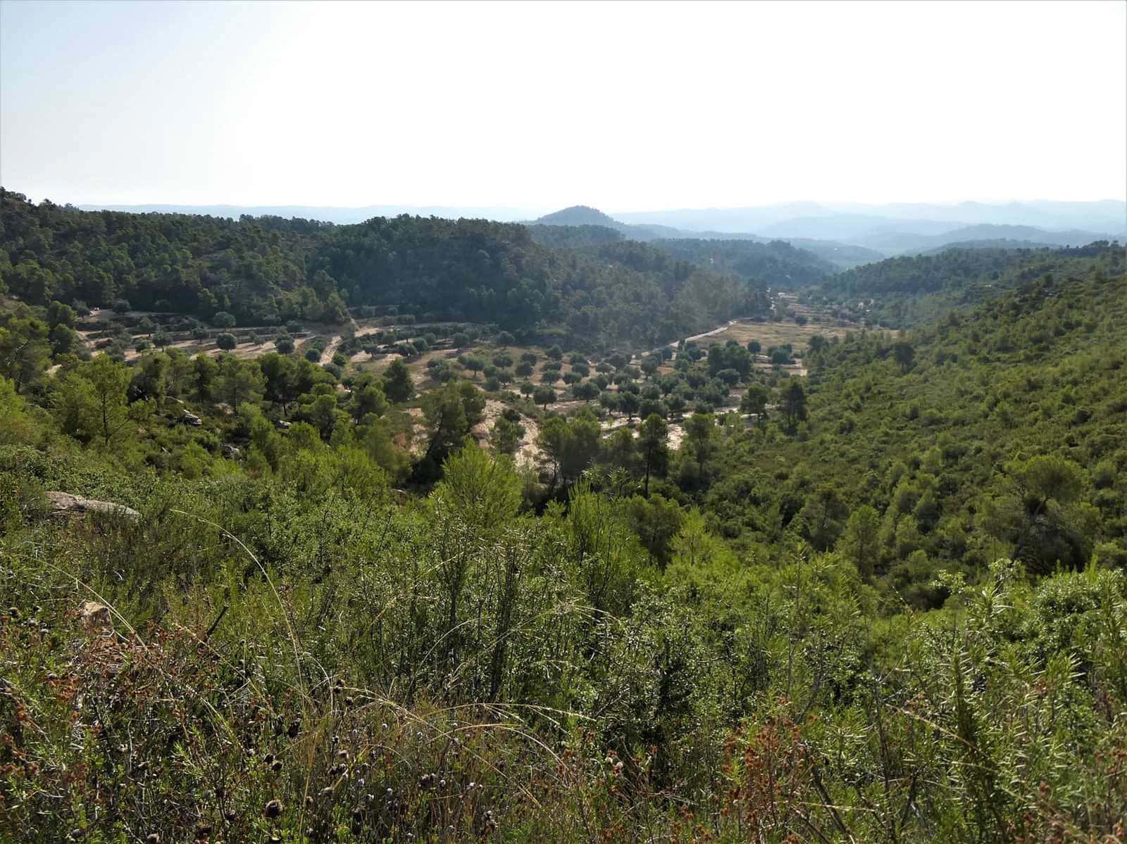 Finca/Country House for sale in Maella - € 34,000 (Ref: 7760867)