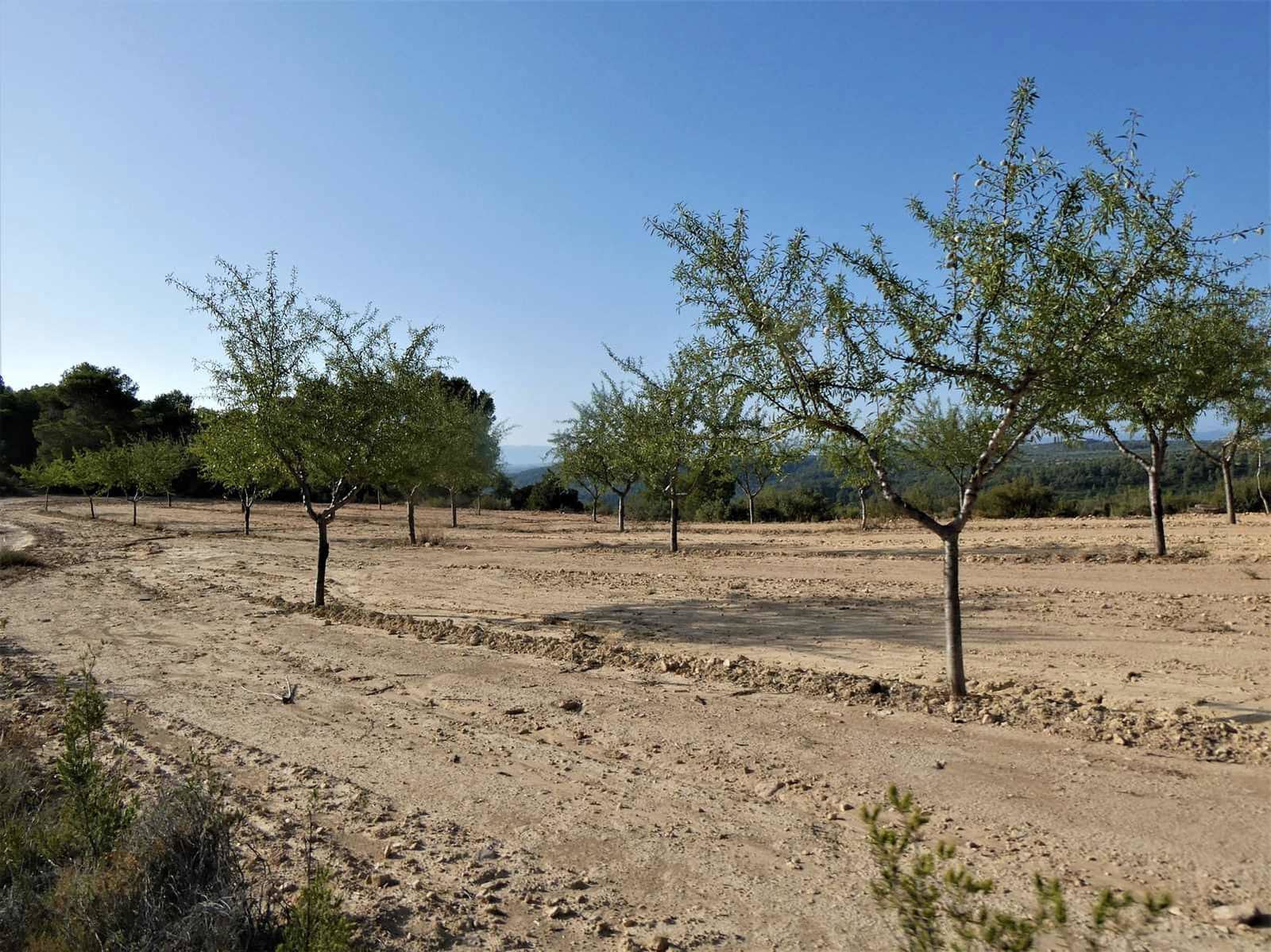 Finca/Country House for sale in Maella - € 34,000 (Ref: 7760867)