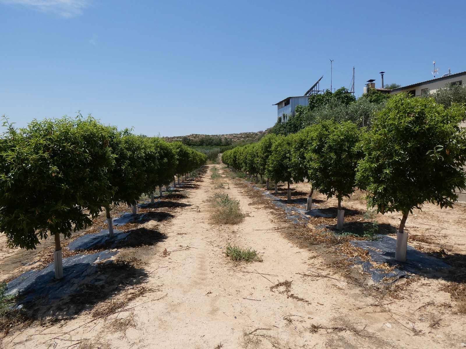 2 bedroom Finca/Country House for sale in Caspe with pool garage - € 149,000 (Ref: 7774812)