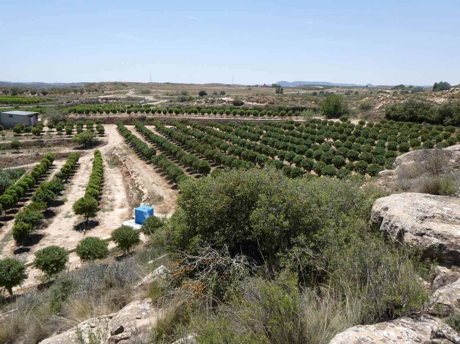 2 bedroom Finca/Country House for sale in Caspe with pool garage - € 149,000 (Ref: 7774812)