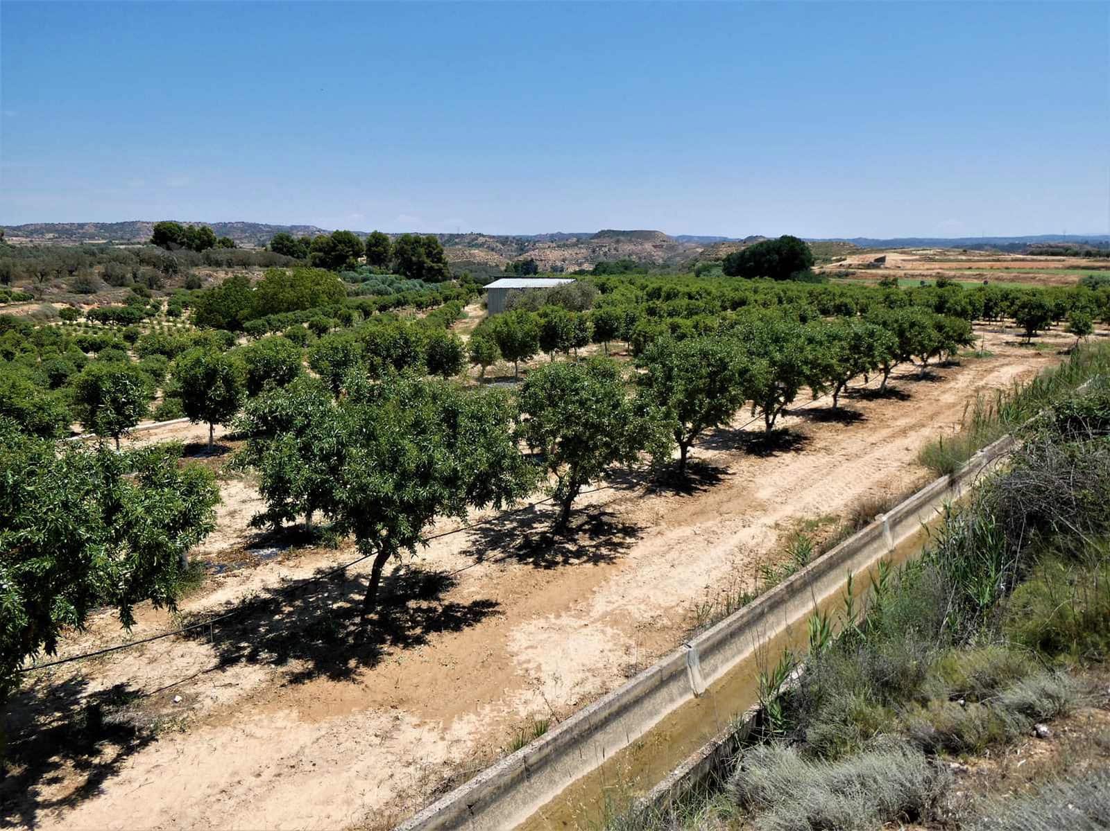 2 slaapkamer Finca/Landhuis te koop in Caspe met zwembad garage - € 149.000 (Ref: 7774812)