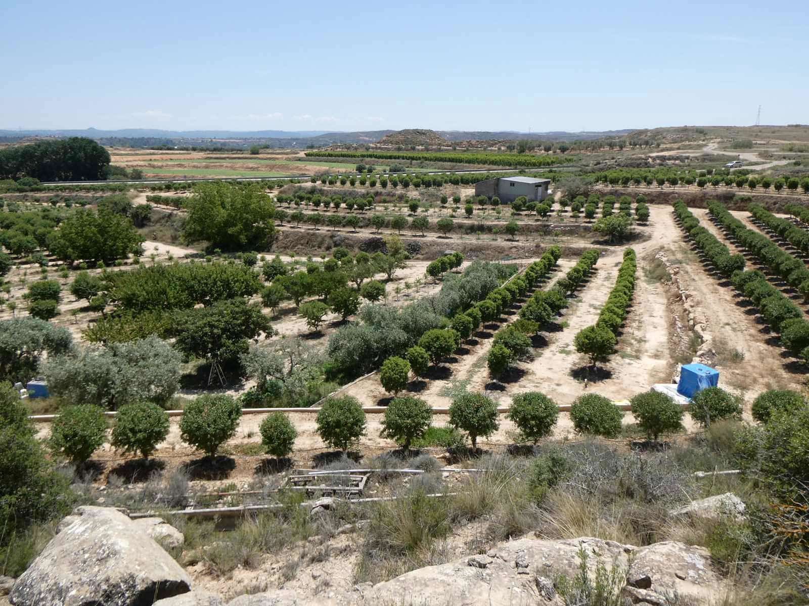 2 slaapkamer Finca/Landhuis te koop in Caspe met zwembad garage - € 149.000 (Ref: 7774812)