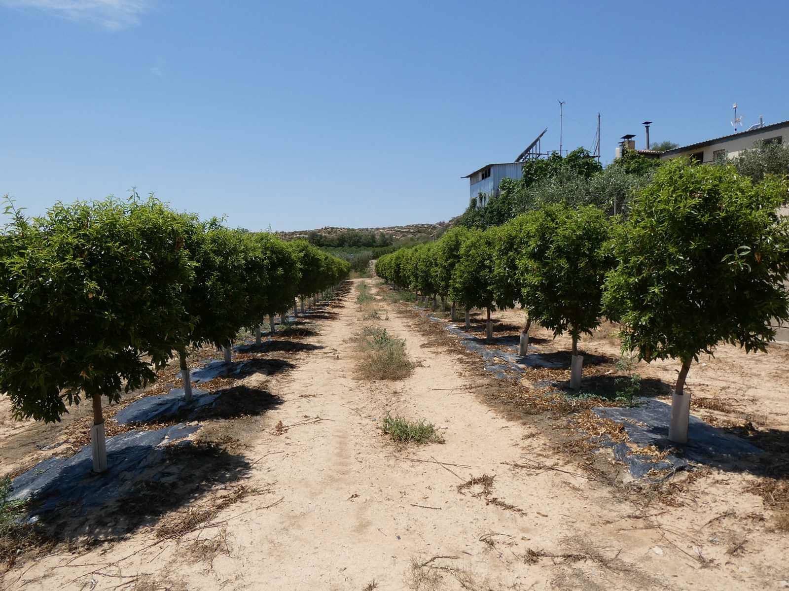 2 slaapkamer Finca/Landhuis te koop in Caspe met zwembad garage - € 149.000 (Ref: 7774812)